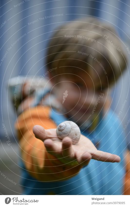 Junge mit Schneckenhaus in der Hand sammeln Grundschule Kindergarten Kindheit heranwachsen