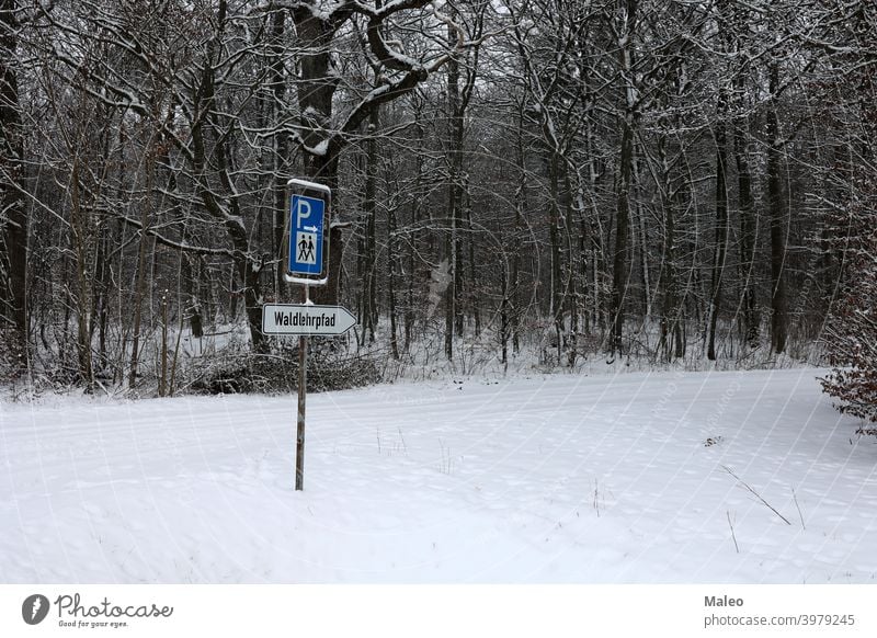 Wanderweg im Wald - Waldlehrpfad Natur wandern Weg Nachlauf Landschaft Wildnis Umwelt Park grün Licht Straße Spaziergang malerisch schön sonnig natürlich Saison