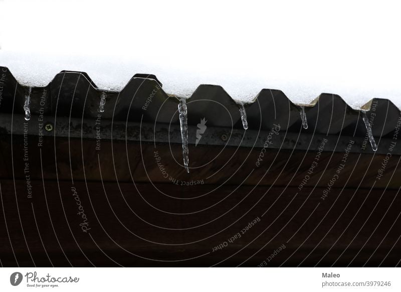 Der Schnee auf dem Dach schmilzt und bildet Eiszapfen Winter kalt Saison Wasser Frost weiß zerlaufen durchsichtig Hintergrund Kristalle erhängen Natur im Freien