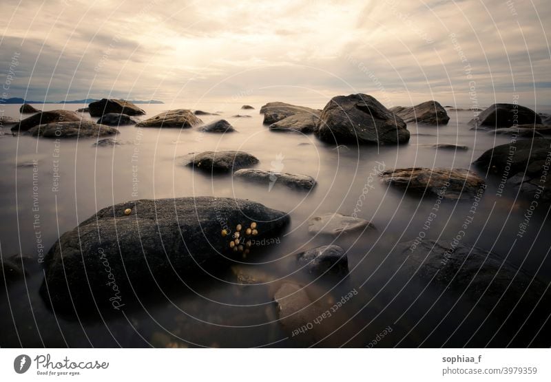 ruhige See mit Steinen bei Sonnenaufgang oder Sonnenuntergang, Langzeitbelichtung von Felsen im glatten Wasser MEER Windstille Erholung goldene Stunde Morgen