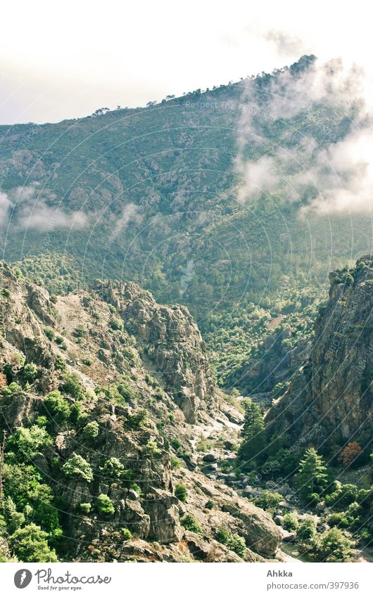 Canyon in Korsika Ferien & Urlaub & Reisen Tourismus Ausflug Abenteuer Ferne Freiheit Expedition Berge u. Gebirge Natur Landschaft Nebel Urwald Felsen Bach