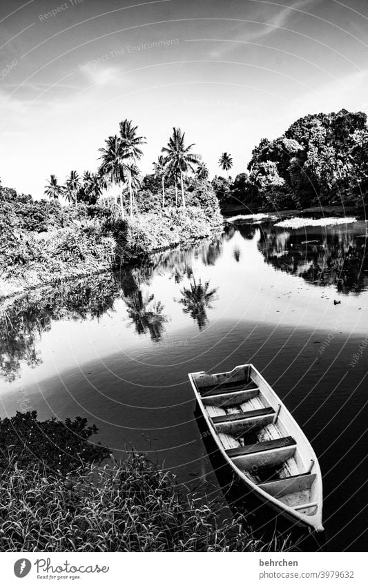 ruhepol Schatten Schwarzweißfoto Sonnenlicht Kontrast Tag Licht Idylle Reflexion & Spiegelung Umweltschutz Farbfoto Außenaufnahme Wasserfahrzeug Fernweh