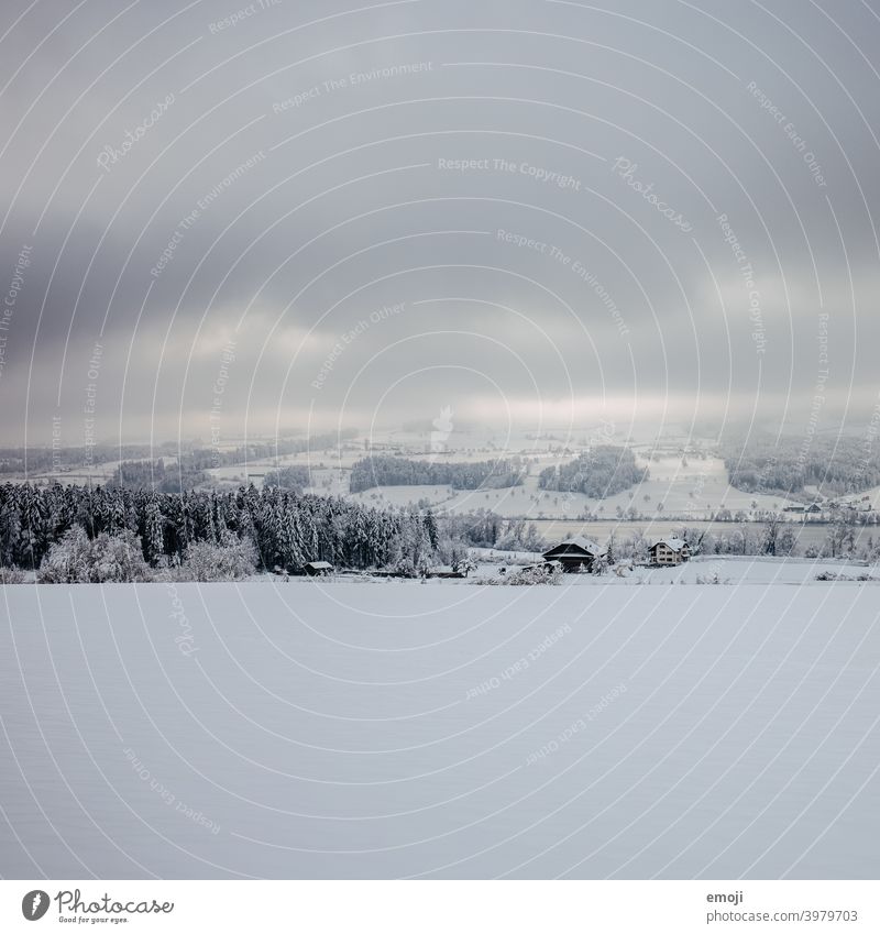 Baldeggersee CH im Winter winter schnee grau trist weiss lichtspiel sonnenstrahlen dämmerung schweiz kalt kühl düster wolken