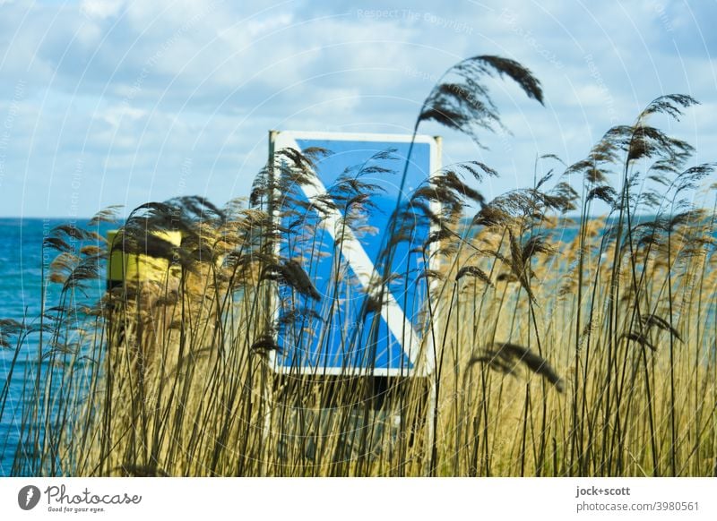 Natürliches Ende der Beschränkung an der Müritz Binnenschifffahrtszeichen Himmel Wolken Schilfrohr Natur See Seeufer Wind Hinweisschild Verkehrswege