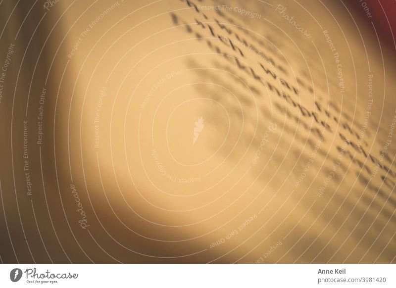 Druckknöpfe sind sehr wichtig. Unscharfer Wortverlauf aus einem Buch. Makroaufnahme Wissen Nahaufnahme Detailaufnahme Literatur Lesestoff lesen Buchseite Papier