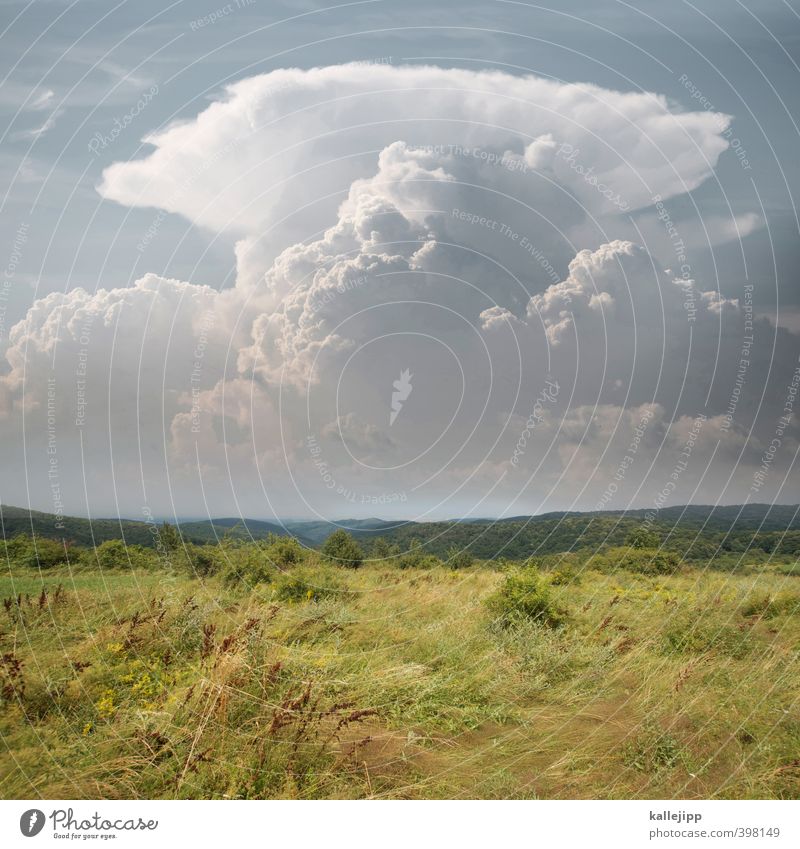 amboss Umwelt Natur Landschaft Pflanze Tier Luft Gewitterwolken Klima Wetter Unwetter Wald Hügel bedrohlich Amboss Serbien Grasland gewaltig Farbfoto