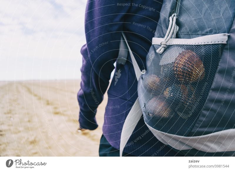 Muscheln vom Strand gesammelt bunt Harmonie Spiritualität Menschen Fröhlichkeit Freude Panzer Rücken Weg Farbbild tagsüber eine Person wellig Rucksack Natur