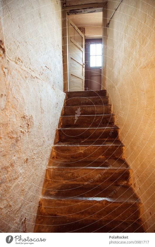 #A0# Kellertreppe mit Blick auf Kellertür Kellerwand Kellerabteil Bestandswohnung Treppe dunkel Tür Schatten Mietwohnung Altbau Altbauwohnung Altbausanierung