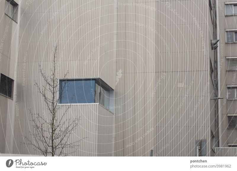 Architektur. Eine hausfassade mit kahlem baum. Tristesse gebäude tristesse Baum fenster