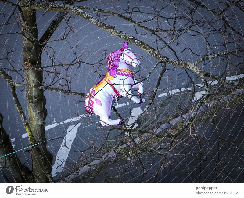 gefangener Pferde-Luftballon auf einen Baum von einem Fenster aus fotografiert Luftballons Spielzeug Feste & Feiern Freude Geburtstag Farbfoto Party