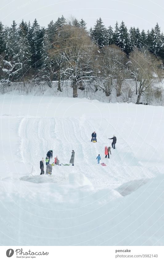 ski & rodel gut! ll Winter Hügel Wald Piste Kinder rodeln Skifahren Wintersport Allgäu Spass freudig Schlitten Schnee Landschaft Berge u. Gebirge weiß kalt