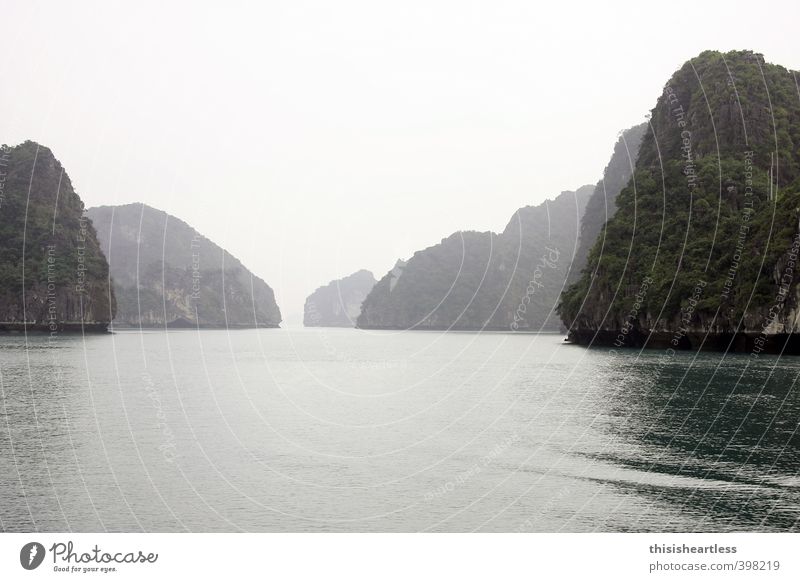 Rücken des Drachen Tourismus Ausflug Kreuzfahrt Meer Insel Natur Luft Wasser Sommer Klima Wärme Sträucher Hügel Felsen Berge u. Gebirge Halong Bay Bucht