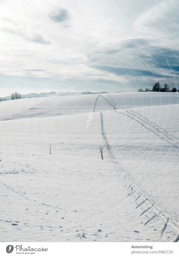 Spuren im Schnee Winter Hügel Hügelland Mühlviertel Schneespuren Horizont Wolken weiß Blau Himmel hinauf hinunter rauf runter Baum Kleinbaum Landschaft Natur