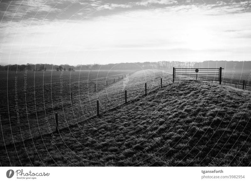 Frostiger Morgen Deich morgens Morgennebel morgenlicht Morgenstimmung Raureif Außenaufnahme Landschaft Menschenleer Morgendämmerung Sonnenlicht Sonnenaufgang