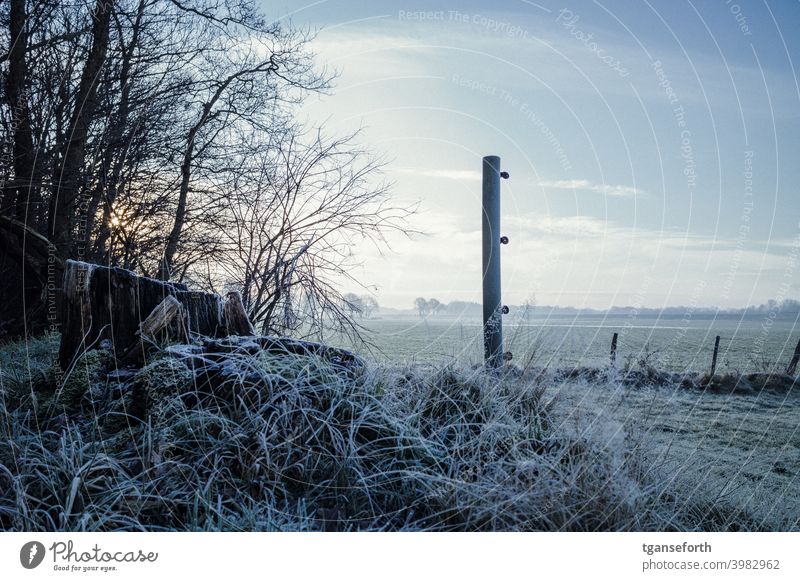 Frost Raureif kalt Winter gefroren Nahaufnahme Menschenleer Weide Zaun Außenaufnahme Zaunpfahl Weidezaun Wiese Landschaft frieren Morgen Baumstumpf Gras