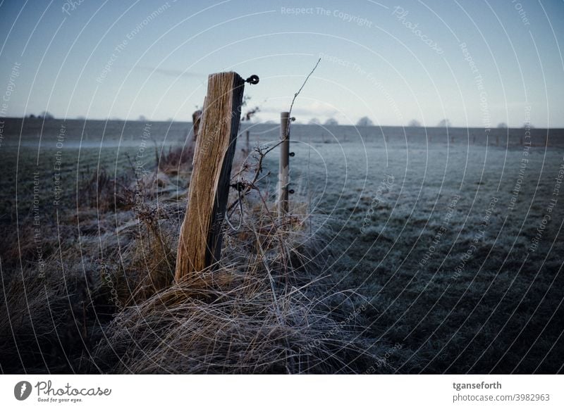 Frost Raureif kalt Winter gefroren Nahaufnahme Menschenleer Weide Zaun Außenaufnahme Zaunpfahl Weidezaun Wiese Landschaft frieren Morgen