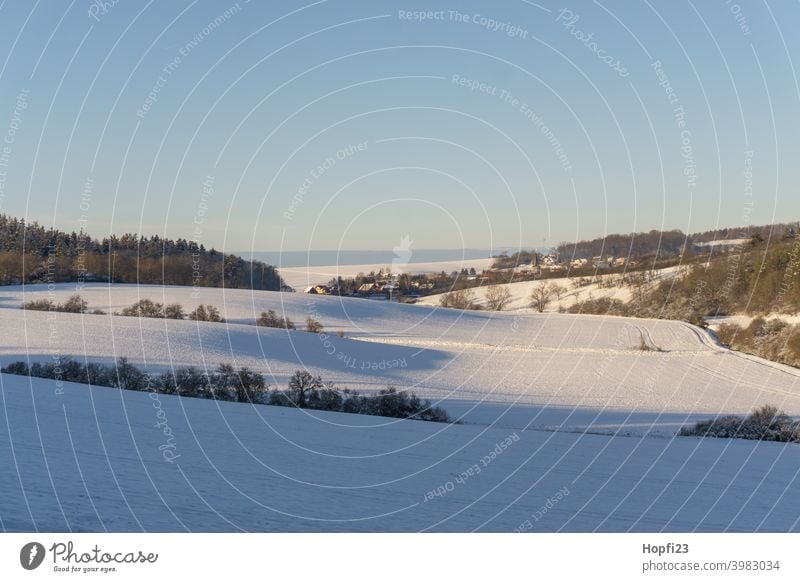 Verschneide Winterlandschaft weiß Landschaft Natur Nahaufnahme ländlich Feld Ackerland Schnee Sonne Sonnenschein Abendsonne kalt Himmel Baum Frost Außenaufnahme