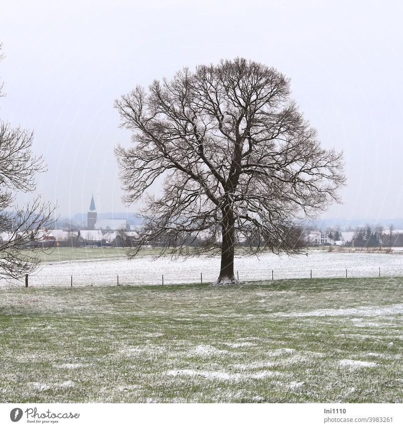 Blick durch zwei Bäume über leicht verschneite Wiesen und Felder auf die Kirche im Dorf Winter Winterstimmung trüb kalt Häuser leichter Schneefall Landschaft