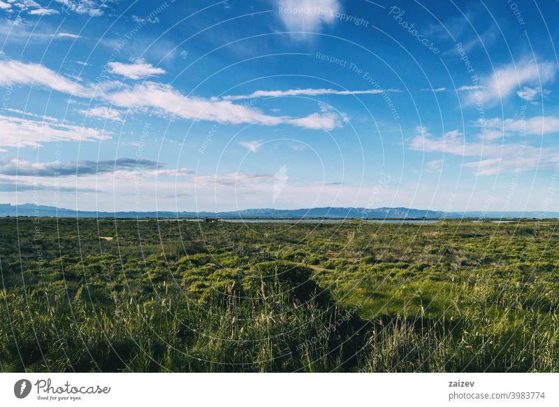 ländliche landschaft im delta del ebro mit der landwirtschaft der region System horizontal umgebungsbedingt Interesse Ökosystem Ackerland Spanisch tagsüber