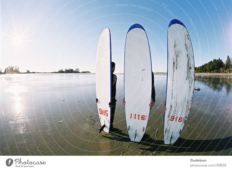 Chesterman’s Strand Surfen Surfbrett Tofino Küste Mensch Westküste Pazifik Surfer Wassersport Fischauge Meer Vancouver Island Kanada cold water surfing sun