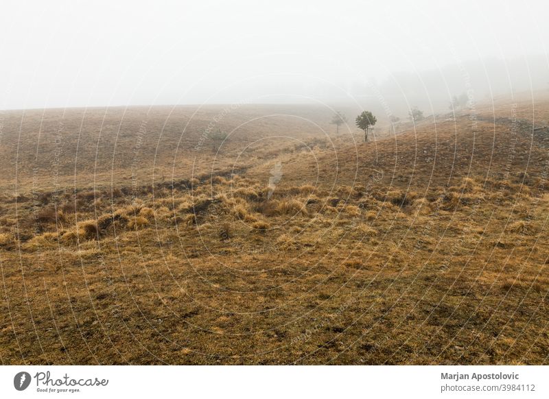 Junge Frau erkundet die Natur an einem nebligen Wintermorgen Abenteuer Herbst Cloud kalt Landschaft Fundstück Erkundung erkunden Entdecker Feld Nebel Freiheit