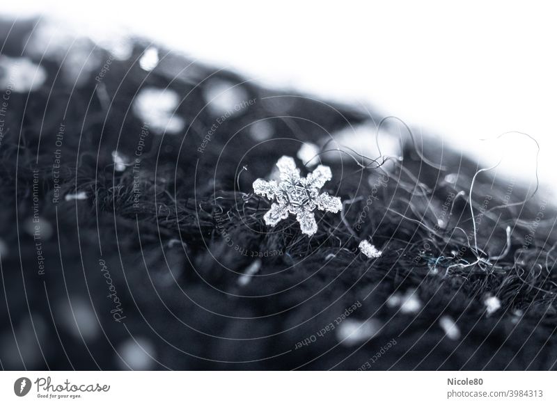 Schneeflocke auf schwarzem Strick Schneeflocke auf Stoff Winter kalt Eis Außenaufnahme Schneefall Frost Farbfoto zart zerbrechlich Eiskristall Menschenleer