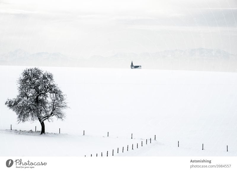 Baum-Kirche-Berge Schnee Landschaft Schichten Horizont Winterlandschaft Schneelandschaft Zaun Holz Gebirge Alpen Allerheiligen im Mühlkreis Turm Kirchturm