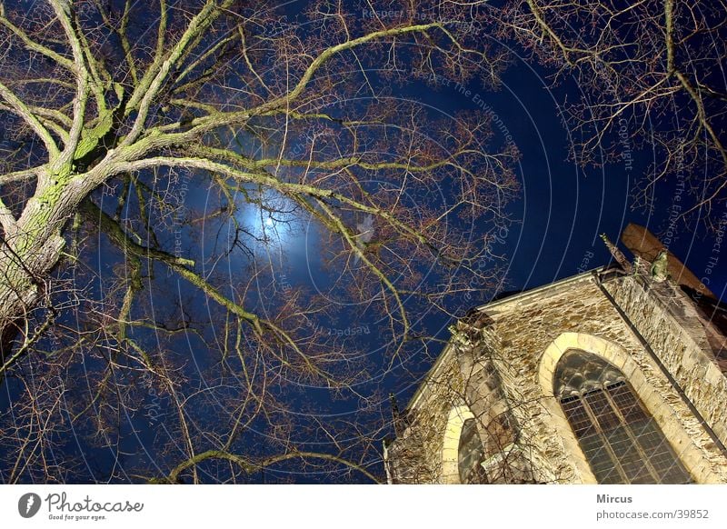 der mond träumt Nacht Baum Gotteshäuser Religion & Glaube Mond Ast Statue sakralbauten