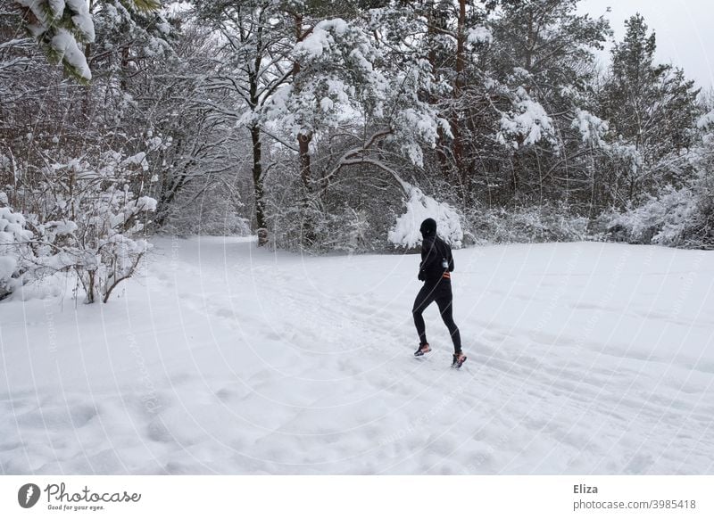 Ein Mann joggt im Winter durch den Schnee joggen laufen Sport Fitness Bewegung sportlich Park Natur Schneelandschaft Läufer Training Joggen Jogger