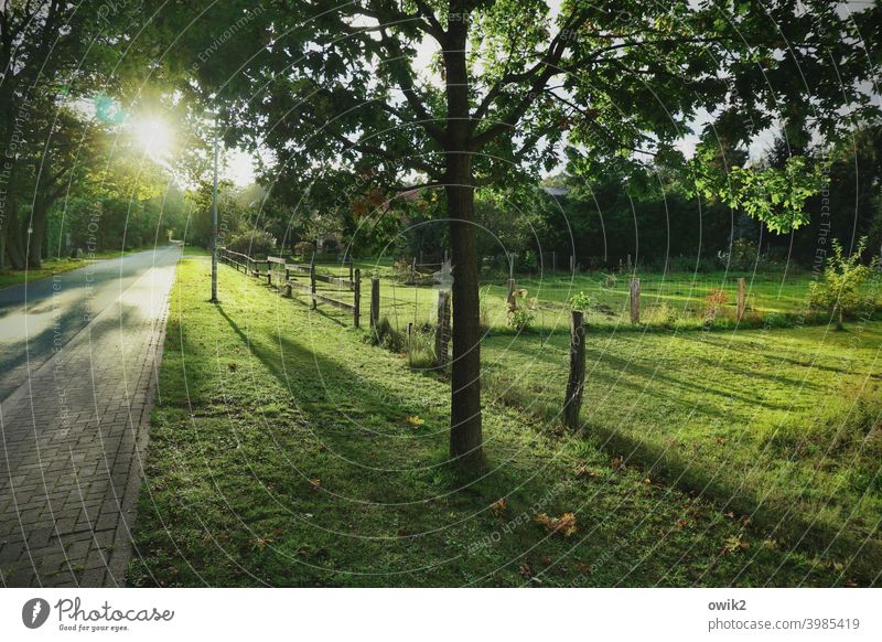 Der Sonnen entgegen Panorama (Aussicht) Totale Gegenlicht Sonnenlicht Lichterscheinung Kontrast Schatten Textfreiraum unten Textfreiraum oben Menschenleer