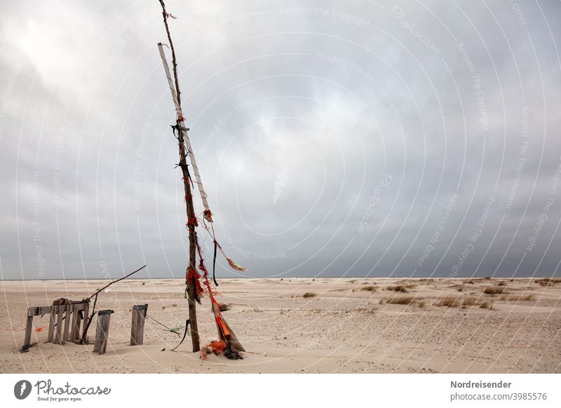 Strandgut am Strand der Nordsee auf Spiekeroog strand nordsee spiekeroog insel ostfriesland ostfriesische inseln meer strandgut treibholz strandburg treibgut