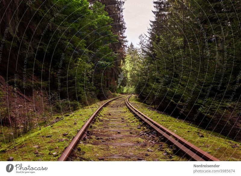 Stillgelegte Bahnstrecke im Thüringer Wald Schienen Gleis Eisenbahn stillgelegt Stilllegung Verkehr Infrastruktur Transport Eingleisig Nebenstrecke