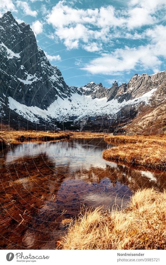 Frühling in einem Canyon mit Felswand und Gewässer auf den Lofoten in Norwegen Wasser Berge Schnee Felsen See Fluss schroff Gipfel Gras Wiese Spiegelung