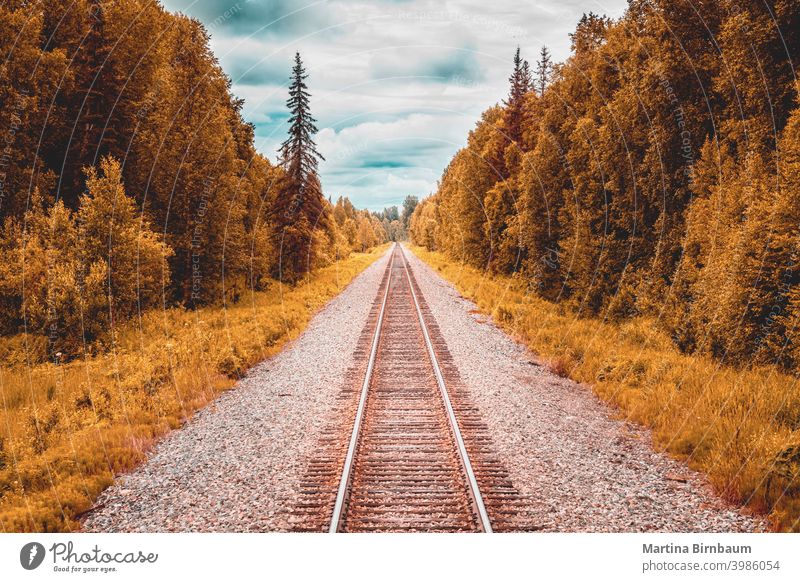 Geradeaus, mit der Bahn durch die Wildnis Alaskas zum Denali National Park Eisenbahnschiene malerisch weitergeben Landschaft reisen blau im Freien Transport