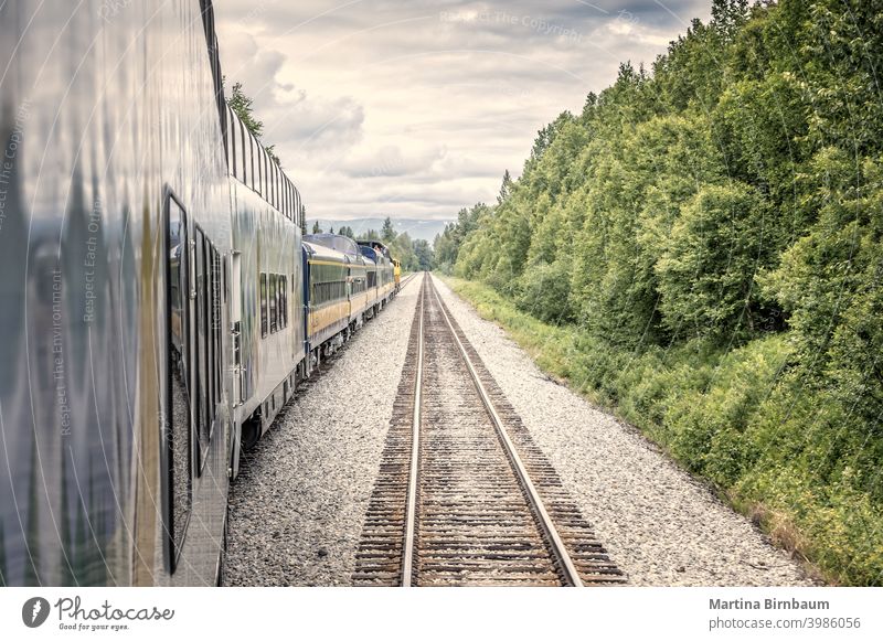 Geradeaus, Zug und Schienen in der Wildnis Alaskas Eisenbahnschiene malerisch weitergeben Denali National Park Landschaft reisen blau im Freien Transport Gipfel