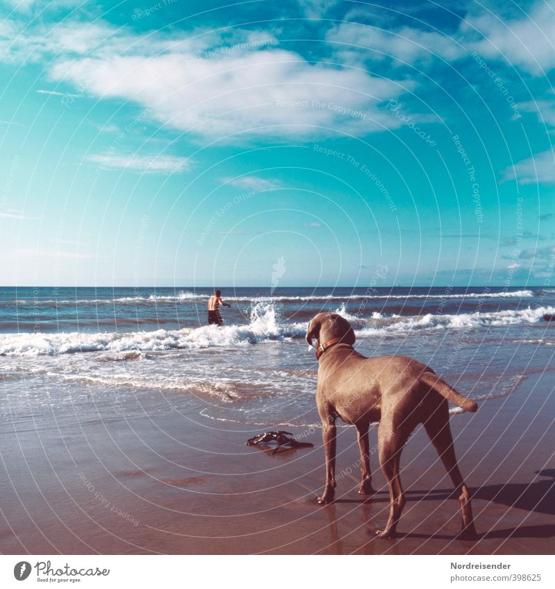 Aufpassen.... Ferien & Urlaub & Reisen Ferne Freiheit Sommer Sommerurlaub Sonnenbad Strand Meer Wellen Mensch Mann Erwachsene 1 Himmel Wolken Schönes Wetter