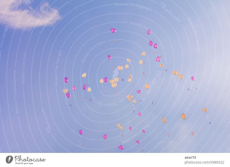 Herz Liebe Ballons fliegen in den blauen Himmel mit Zeremonie Wünsche. Romantisches Symbol der zukünftigen Partnerschaft. Gruppe von schönen Herz Ballons mit Glückwunschkarten auf der Hochzeitsfeier oder Valentinstag
