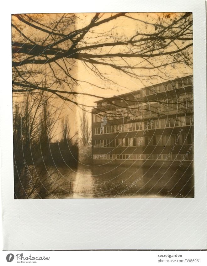 Gebäude mit Seeblick (leider sind alle im Homeoffice) Architektur trist Fluss Hamburg Äste Baum Außenaufnahme Menschenleer Tag Himmel Bauwerk Haus langweilig