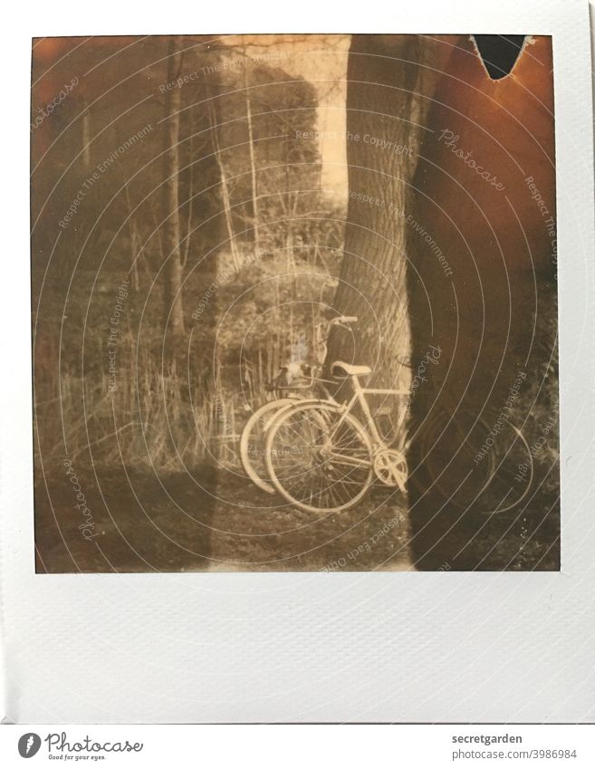 Romantik ist eine gemeinsame Fahrradtour. Und dann ab in den See! romantisch Fahrradfahren Baum anlehnen Park Polaroid analog Streifen Ausflug Außenaufnahme