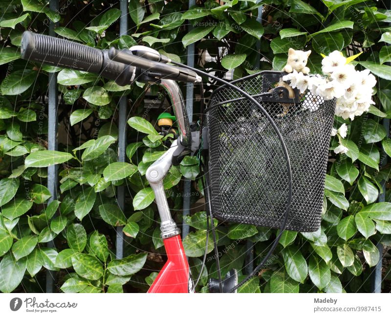 Lenkstange eines roten Fahrrad mit schwarzem Fahrradkorb und kitschiger Katzenfigur mit weißen Blumen und Blüten im Sommer im Nordend von Frankfurt am Main in Hessen