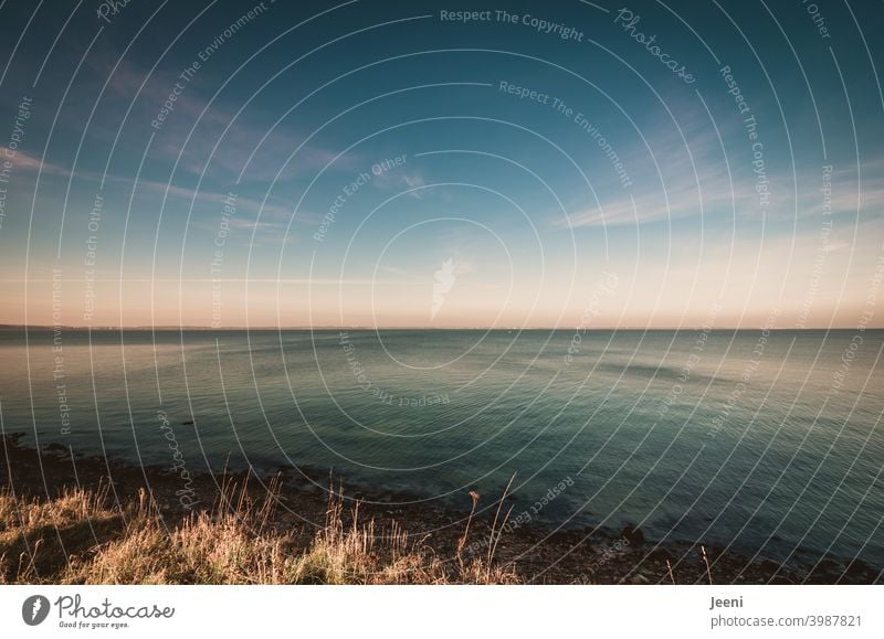 Weiter Blick von der Steilküste auf die Ostsee | Der Himmel ist zartblau, leichte Wolken sind am Himmel, die Strömung des Meeres ist zu erkennen Horizont Ferne