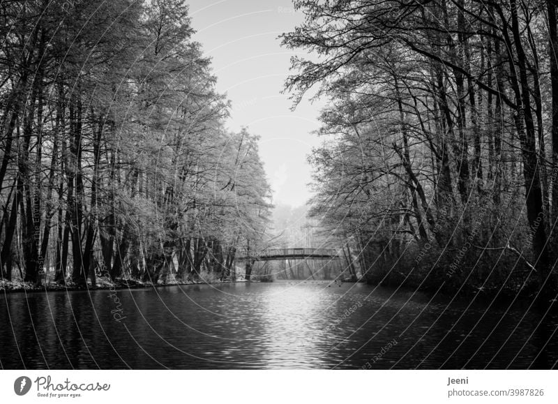 Auf dem kleinen Fluss die winterliche Ruhe genießen | Kanufahren im Winter bei Frost | Kleine Brücke aus Holz über das Wasser für Fußgänger eisig Ufer Erholung