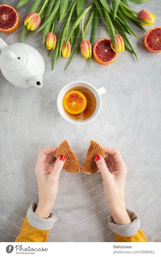 Draufsicht auf eine Frau, die eine Stroopwafel (holländische Sirupwaffel) mit einer Tasse Tee und bunten Tulpen und Blutorange auf grauem Hintergrund hält