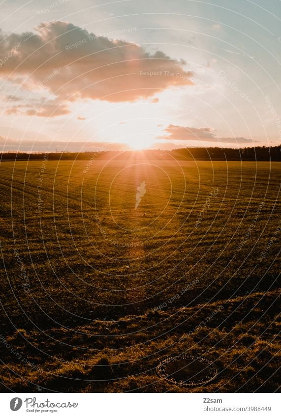 Sonnenuntergang im Herbst herbst sonne sonnenuntergang feld sonnestrahlen abendstimmung horizont wärme acker bauer landwirtschaft positiv warm freundlich