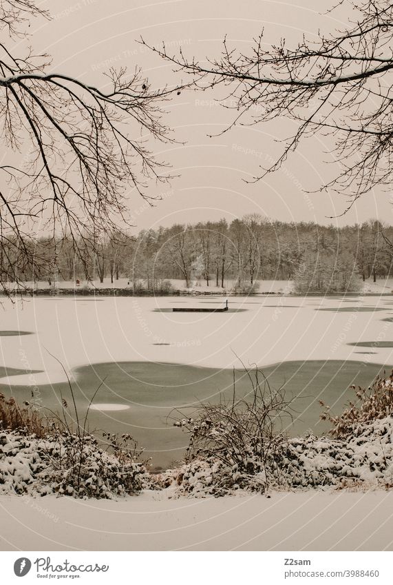 See im Winter winter winterlandschaft schnee natur ruhe trist grau warm dorf stadt weiß minimalismus klima klimawandel see gefroren weiher wasser eis