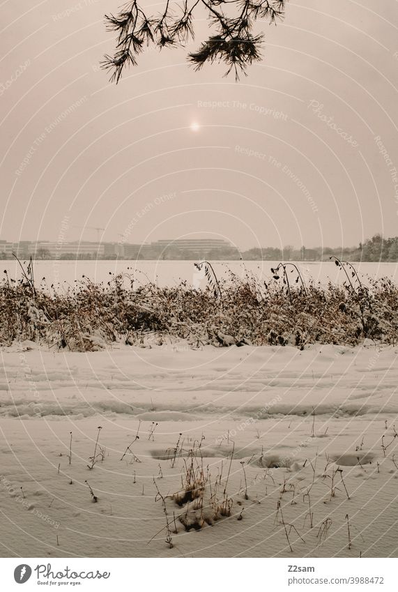 Winterlandschaft winter winterlandschaft schnee natur ruhe trist grau warm dorf stadt weiß minimalismus klima klimawandel