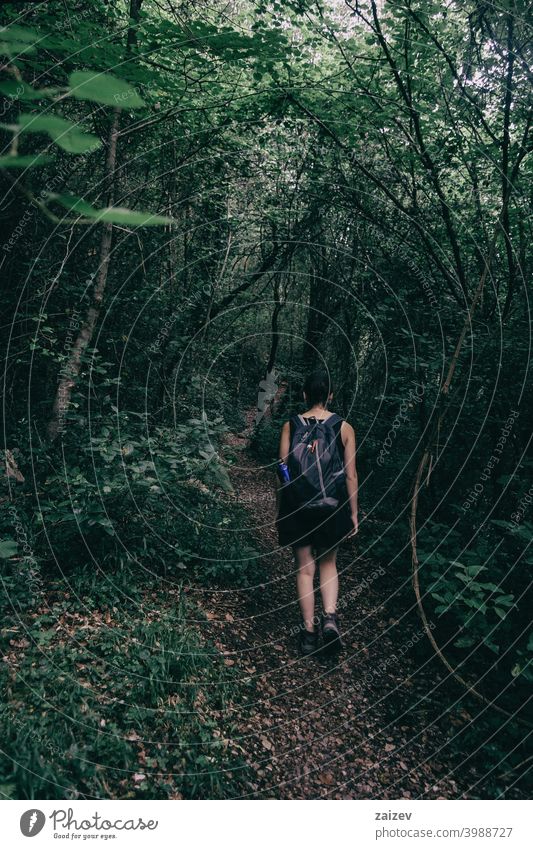 Mädchen, das einen kleinen Pfad entlanggeht, der in den Wald führt Phantasie Mysterium spukhaft Zauberei u. Magie friedlich bunt Dunkelheit Sonnenstrahlen Kurve