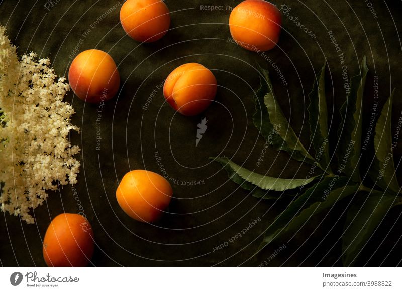 Food Fotografie. Nostalgische Lebensmittelkunst auf dunklem Hintergrund. Nektarinen, Pfirsiche, Blätter und Blüten von Holunder Kunst dunkel süss Essen Aprikose