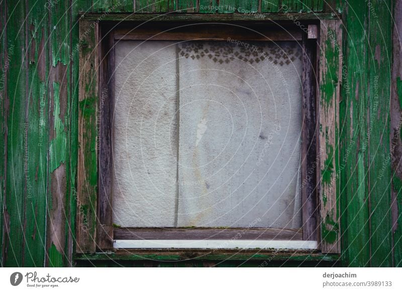 Altes Fenster mit zugezogenen Gardinen,die leicht verschmutzt sind , mit kleiner dunklen  Bordüre. Der Außen Rahmen  ist dunkel bis hellgrün. Menschenleer