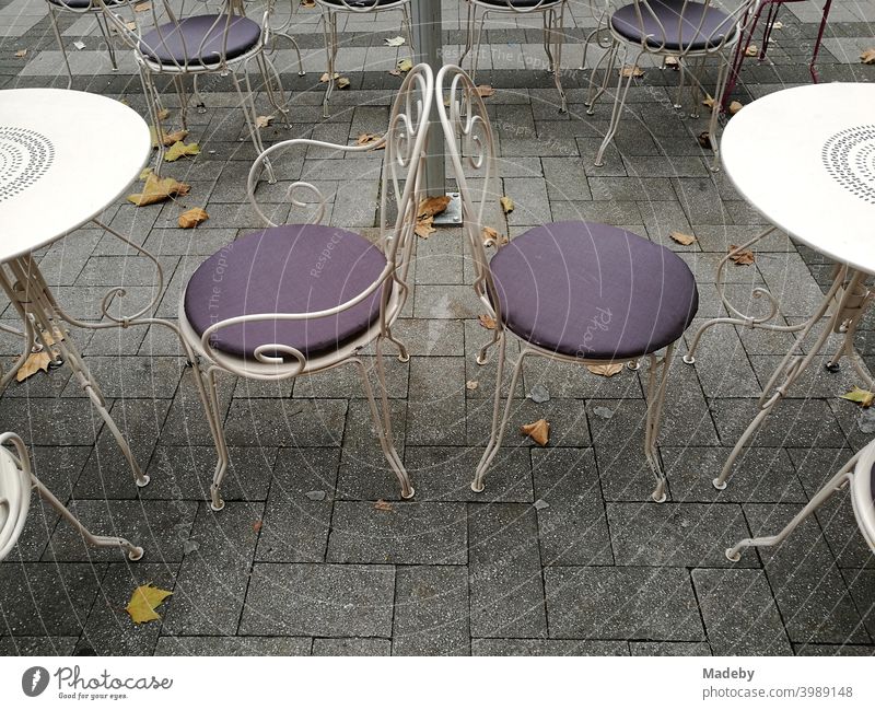 Weiße Bistrotische und Bistrostühle mit lila Kissen im Herbst auf grauem Straßenpflaster in der Innenstadt von Köln am Rhein in Nordrhein-Westfalen in Deutschland